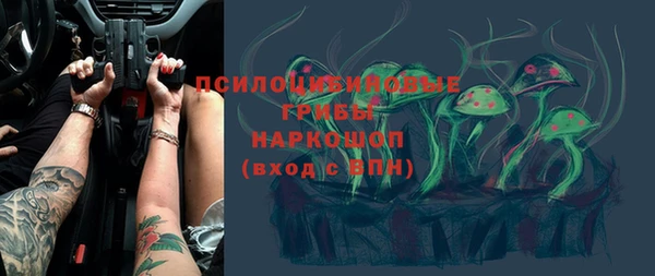 apvp Алексеевка