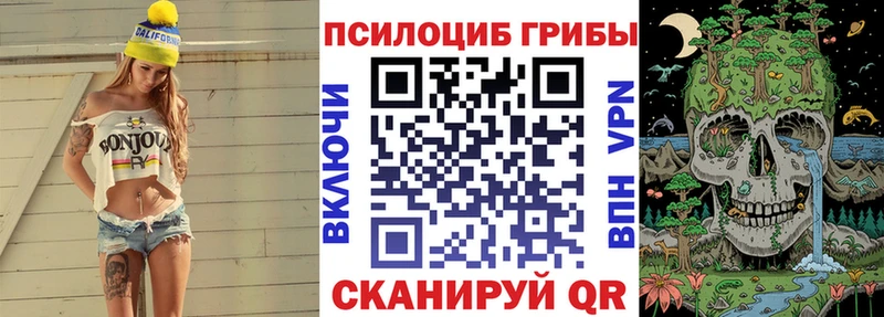 Псилоцибиновые грибы мицелий  где можно купить наркотик  Татарск 